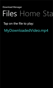 Download Manager screenshot 4