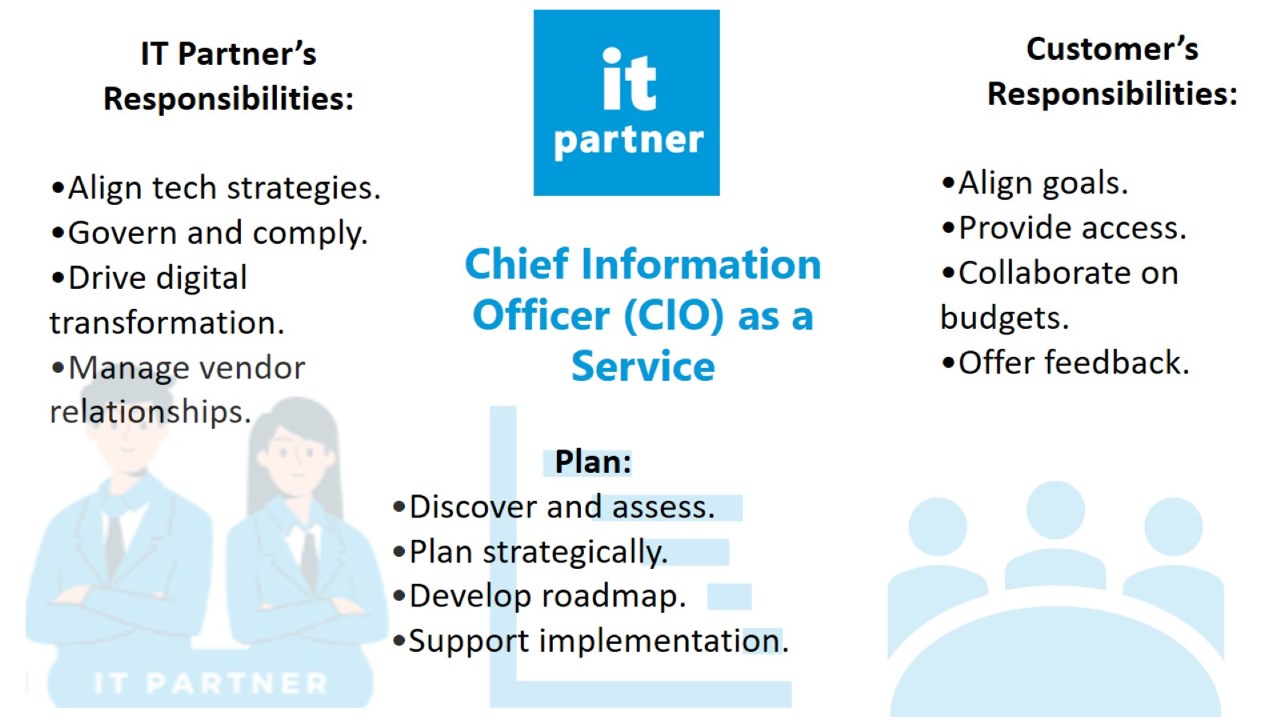 Snapshot 2 of Chief Information Officer (CIO) as a Service: 1-Day Consulting Service