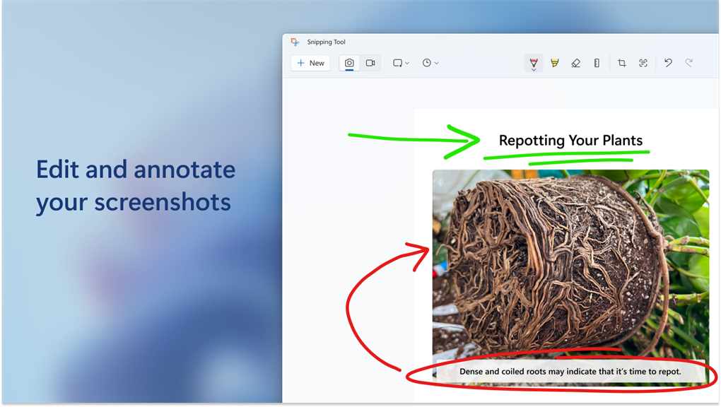 Snipping Tool_3