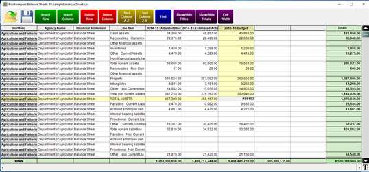 Bookkeepers Balance Sheet screenshot 2