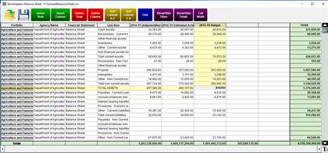 Bookkeepers Balance Sheet Screenshots 2