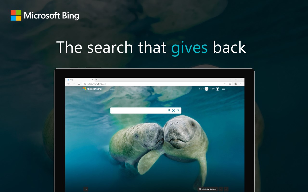 Microsoft Bing Search Engine promo image