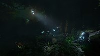 screenshot7
