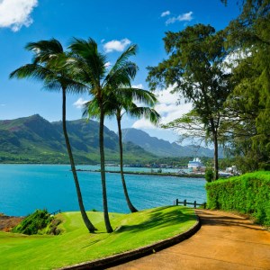 Hawaii HD Wallpaper New tab Theme icon