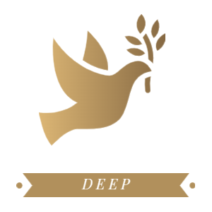 Marked Words Translator icon