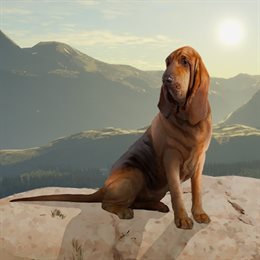 Aperçu theHunter: Call of the Wild™ - Gold Bundle
