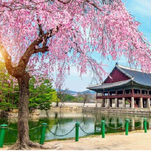 South Korea HD Wallpapers New Tab icon