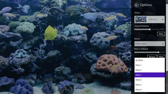 Coral Fish Aquarium screenshot 6