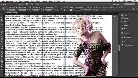 Adobe Indesign Class screenshot 4