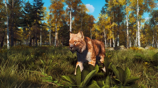 Way of the Hunter - Lintukoto Reserve screenshot 3