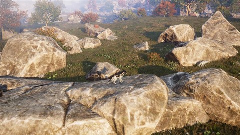 Western Wolf Hunter: The Dead Forest