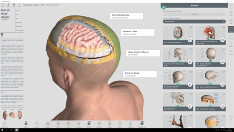 Complete Anatomy Screenshot