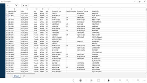 Ace Accountant Screenshots 1