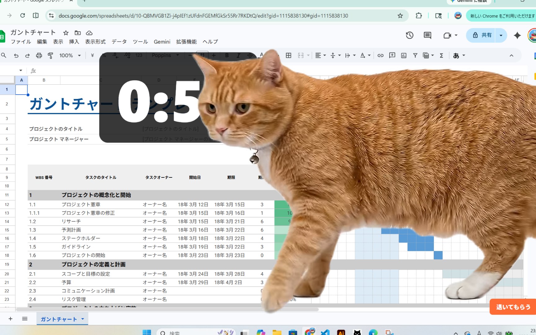 Cat Gatekeeper screenshot