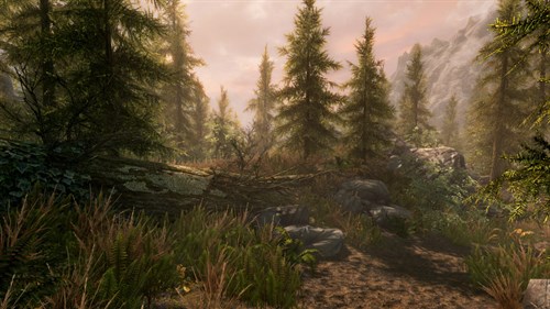 The Elder Scrolls V: Skyrim Special Edition