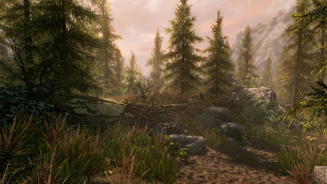 The Elder Scrolls V: Skyrim Special Edition (PC) screenshot 6