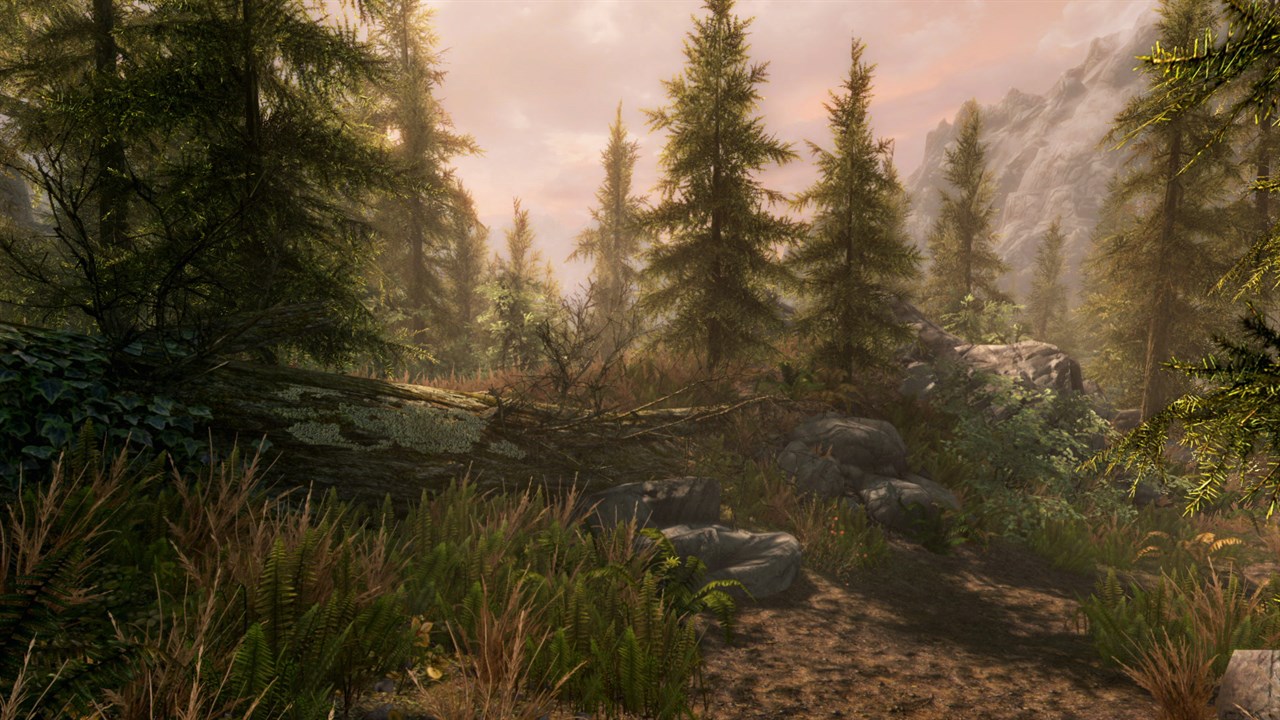 The Elder Scrolls V: Skyrim Special Edition screenshot 6