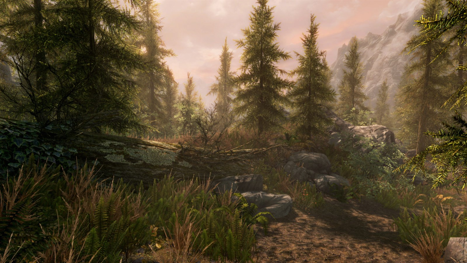 The Elder Scrolls V: Skyrim Special Edition — captura 6