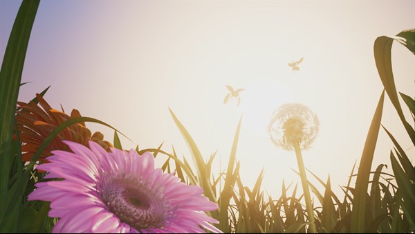 Insects: An Enhanced Experience — 3