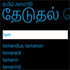 Expert Tamil Dictionary