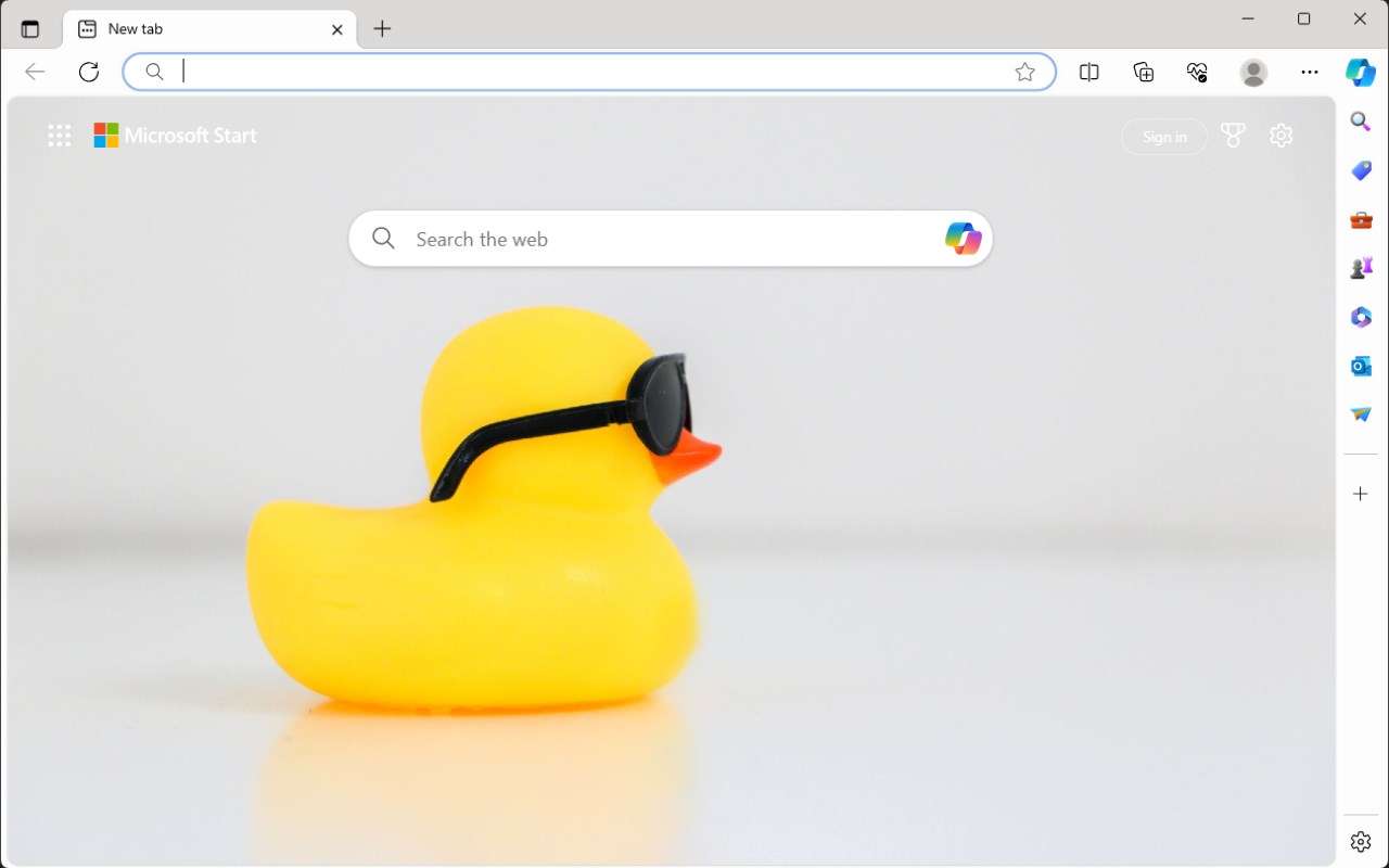 Cool Rubber Duck