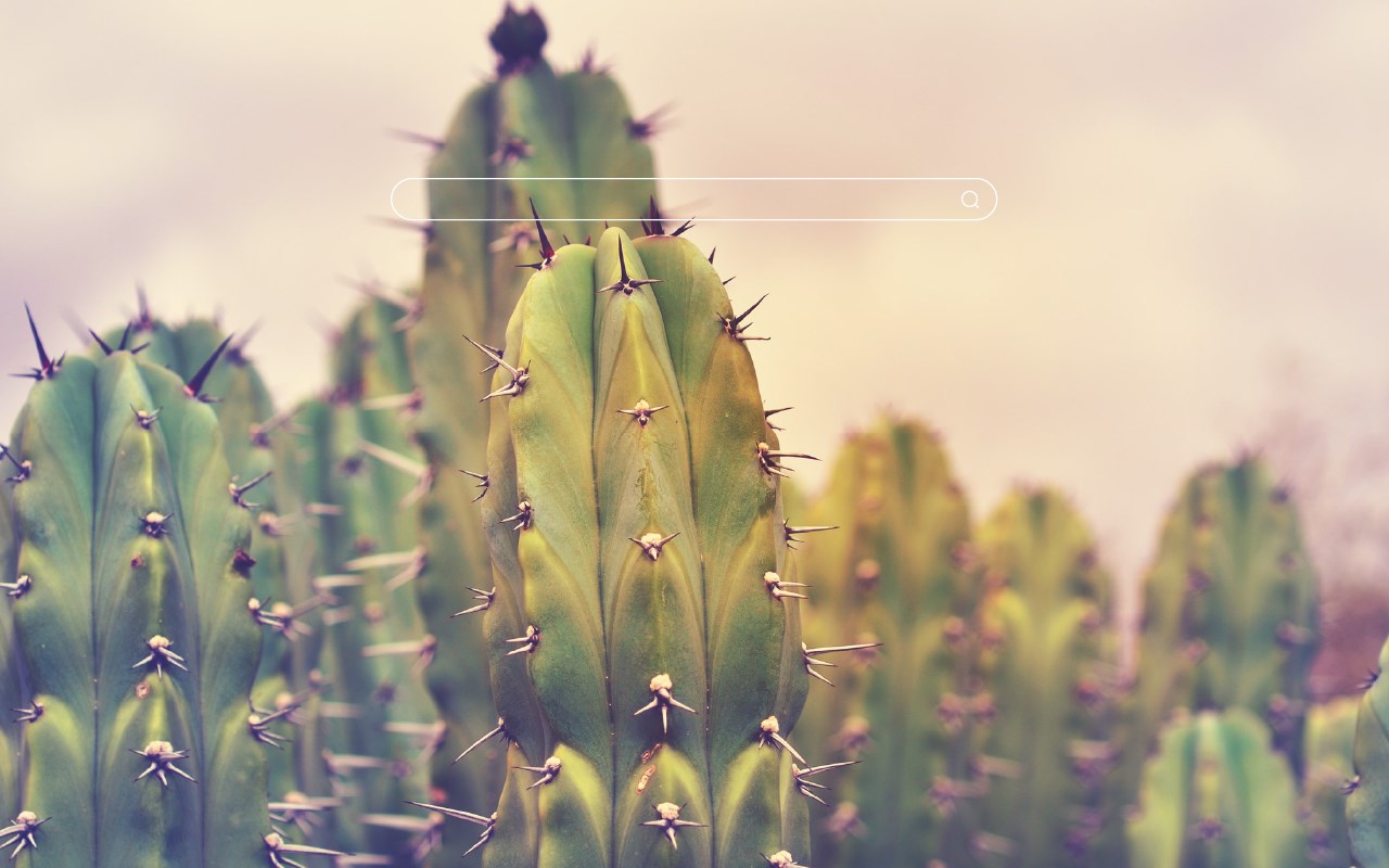 Cactus HD Wallpapers New Tab Theme
