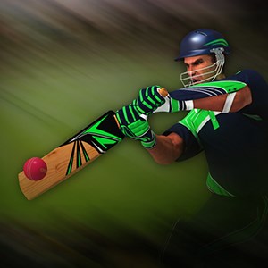 Cricket-Batter-Challenge