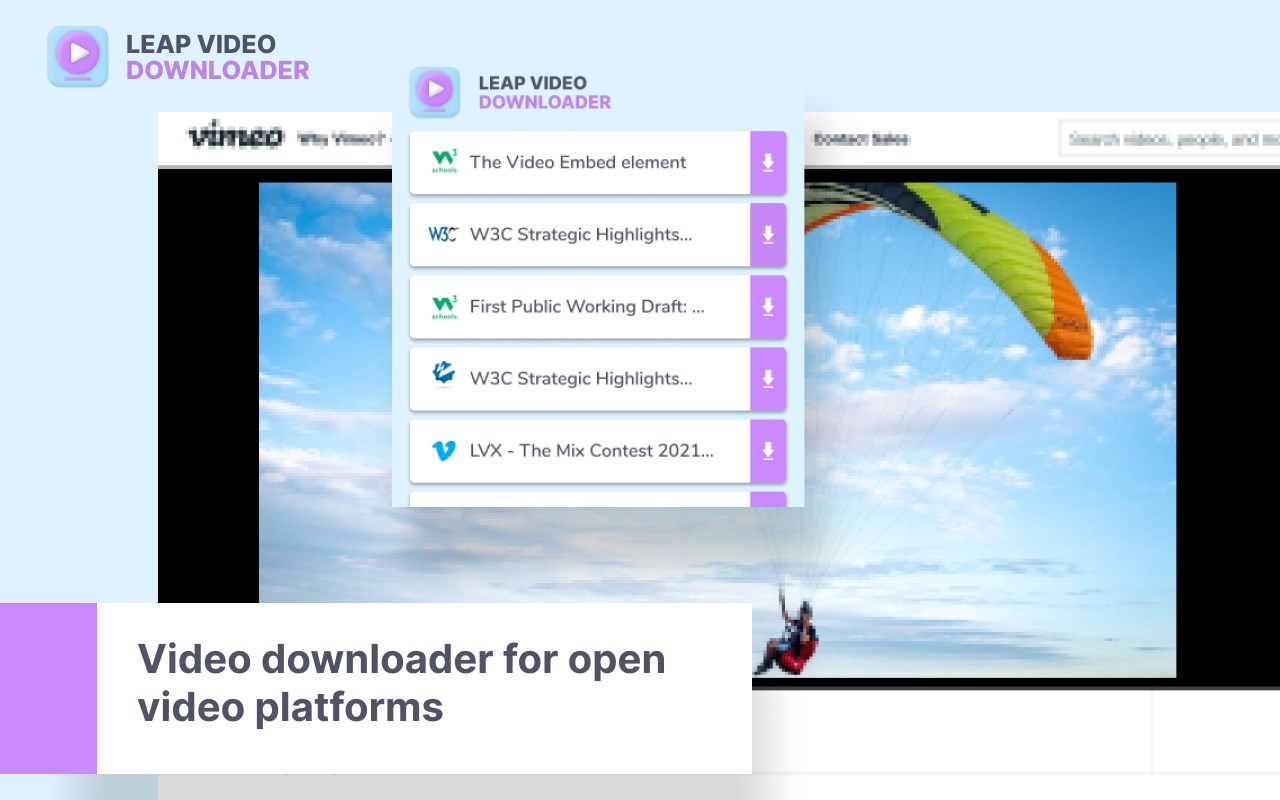 Leap Video Downloader