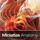 Miniatlas Anatomy
