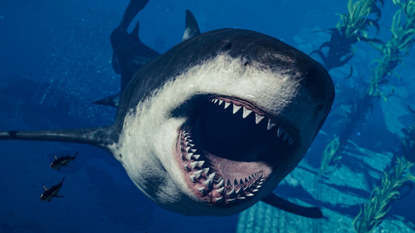 #1. Jurassic World Evolution 2: Park Managers’ Collection Pack (Windows) Podle: Frontier Developments