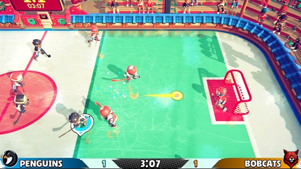 Casual Sport Series: Hockey screenshot