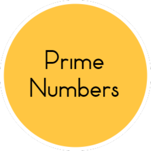Prime Number Generator