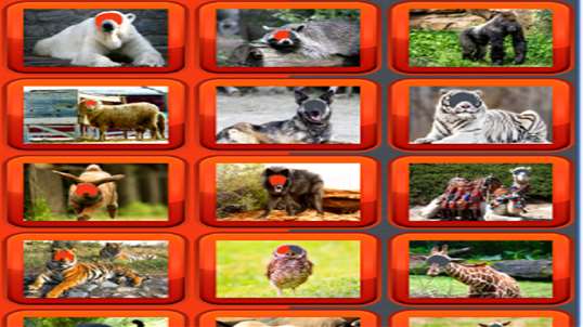 Animal Photo Editor screenshot 1