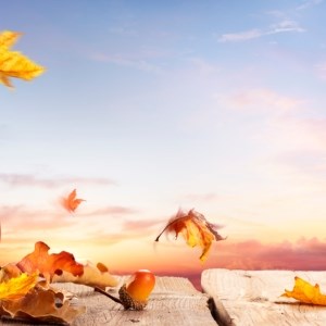 Autumn Time