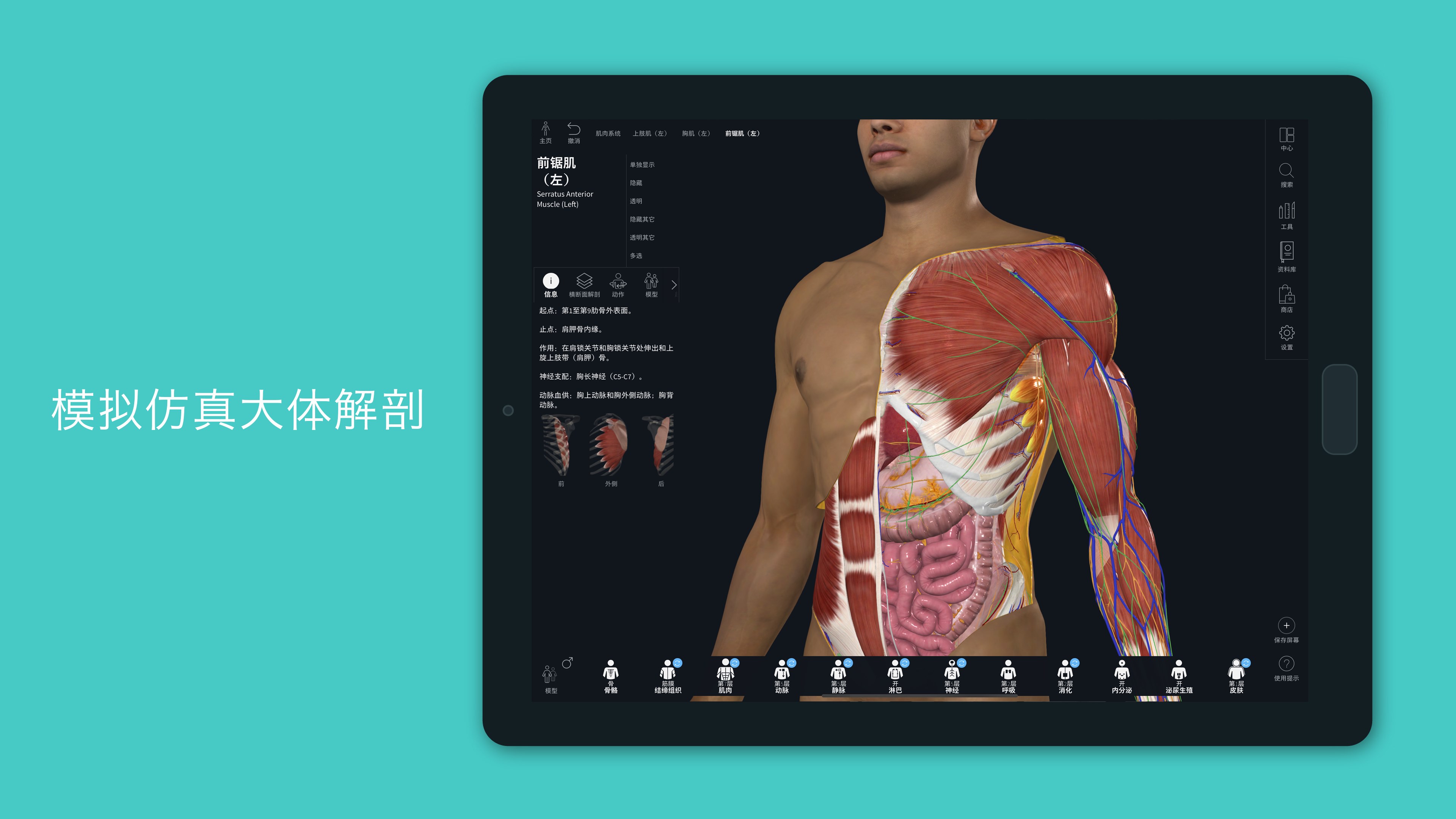 【图】Complete Anatomy(截图2)