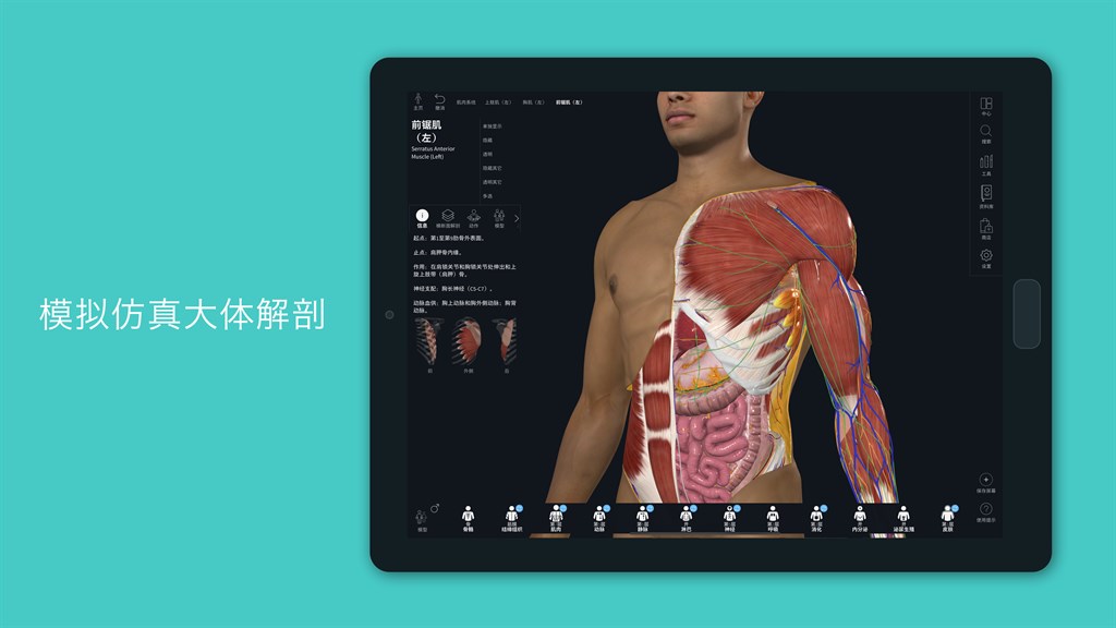 Complete Anatomy 2024 - Microsoft Apps