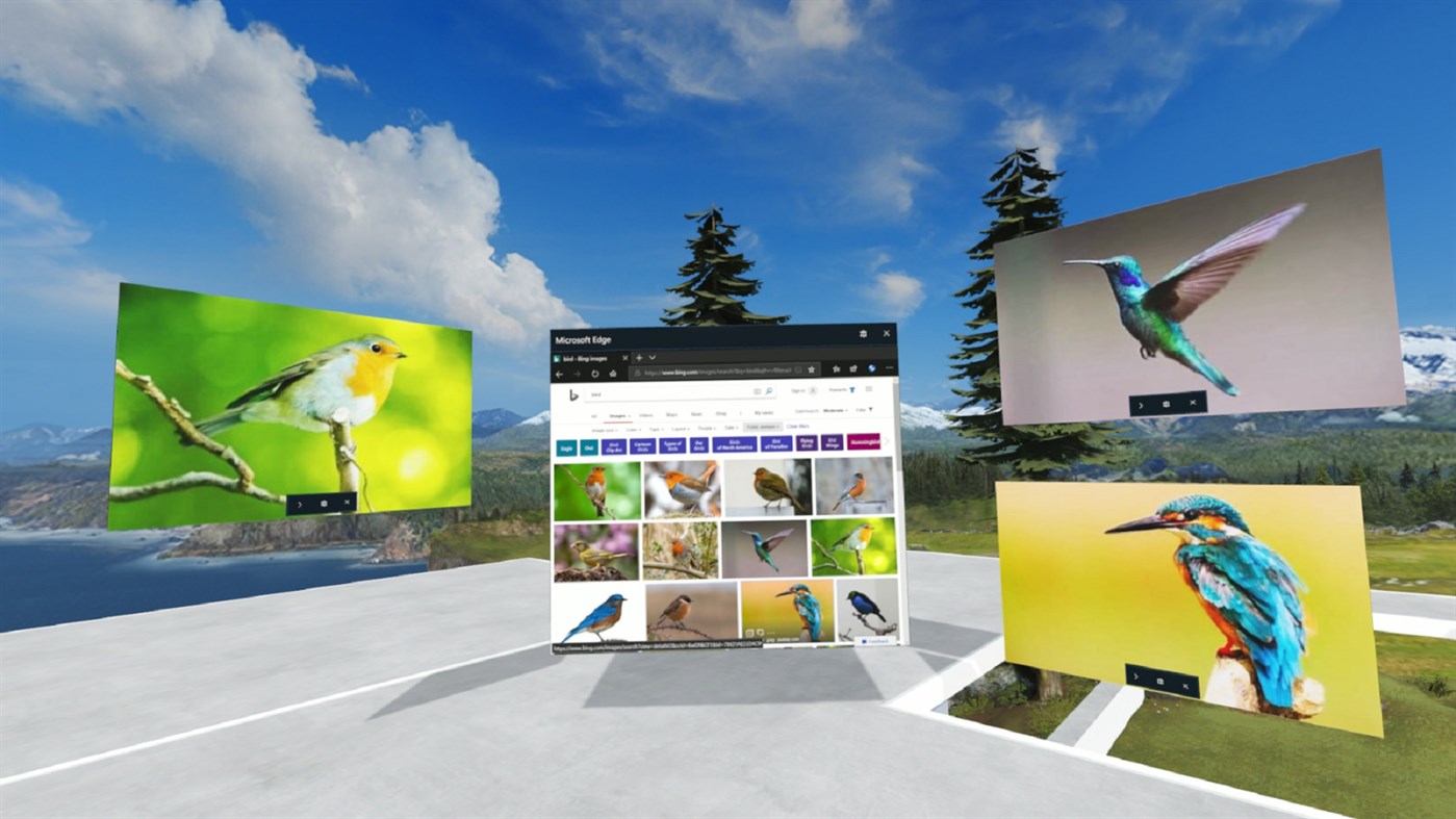 #1. Image to MR home (Windows) 来自: Far East Geometries