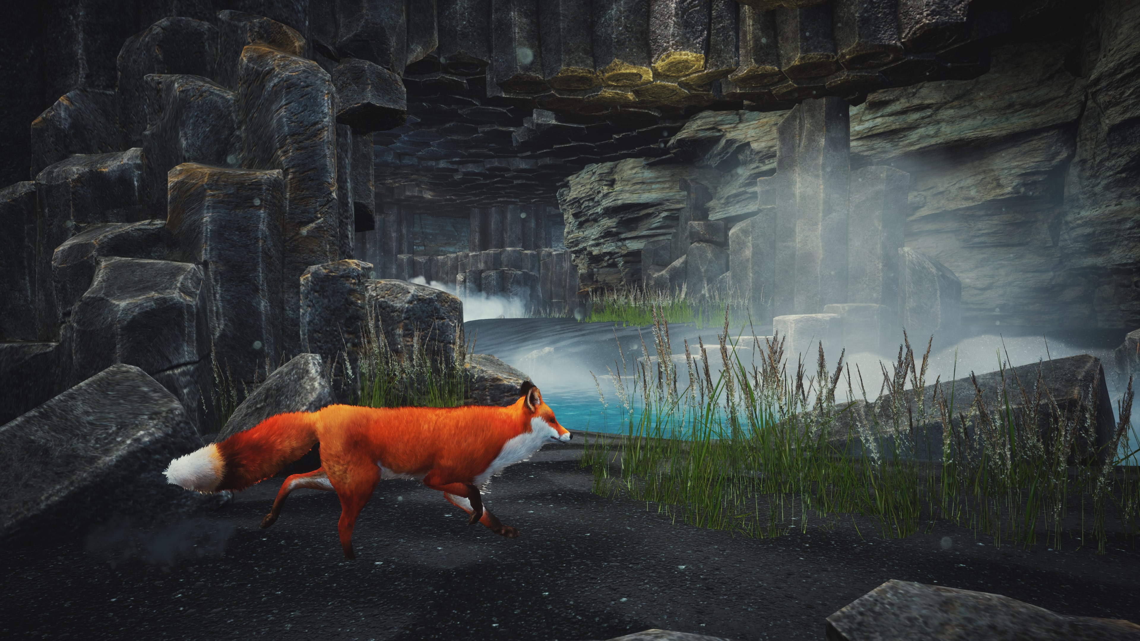 Spirit of the North: Enhanced Edition | Xbox | Chiave | Privato