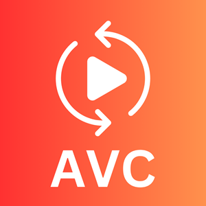 AVC to MP4 - Any Video Converter