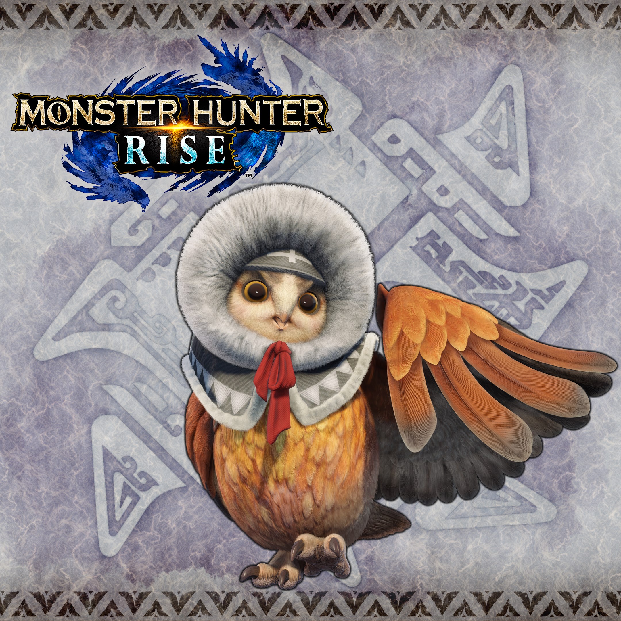 Fluffy Hood Cohoot Outfit