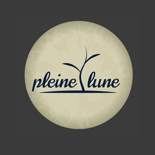 Pleinelune2