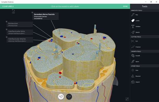 Complete Anatomy 19 for Windows PC Download Free - Best Windows 10 Apps
