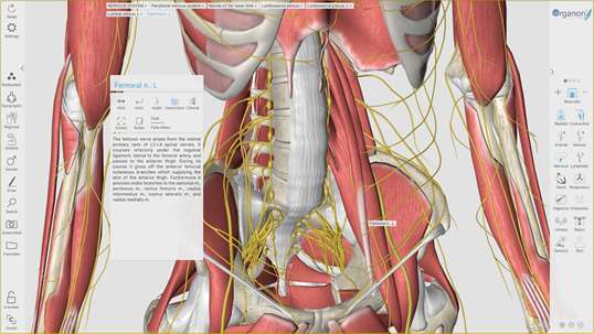3D Organon Anatomy screenshot 3