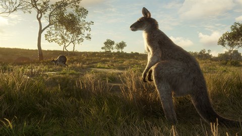 theHunter: Call of the Wild™ - Emerald Coast Australia - Windows 10