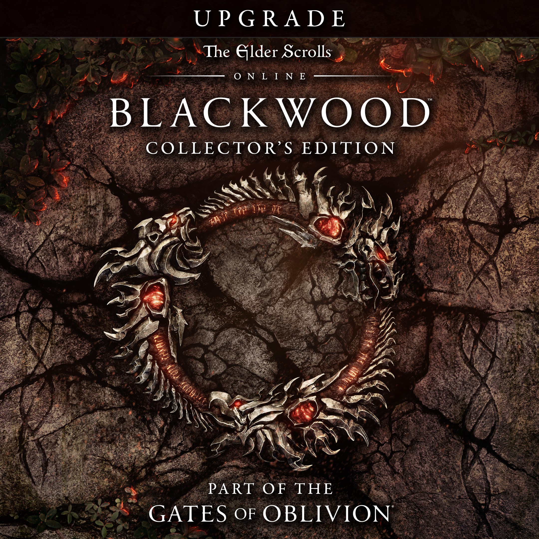 The Elder Scrolls Online: Blackwood CE Upgrade