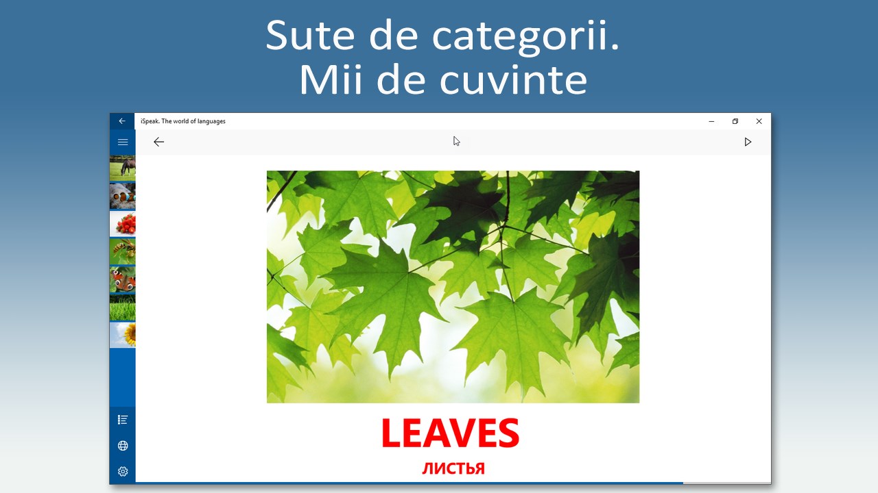 Cuvinte Cu W In Germana