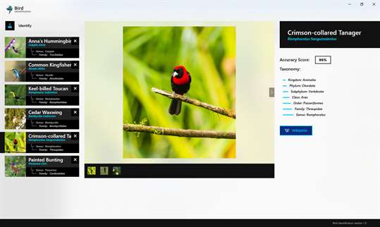 Bird Identification screenshot 5