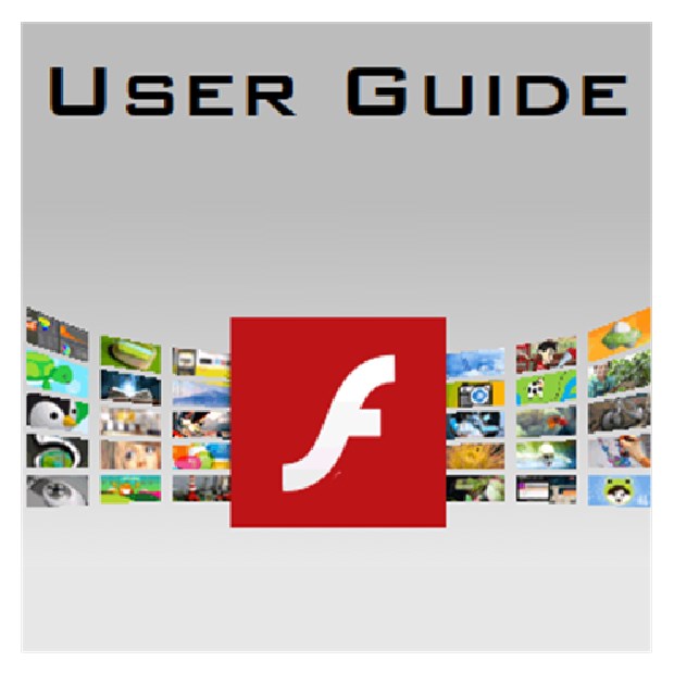 Guide to flash