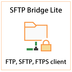 FTP Bridge