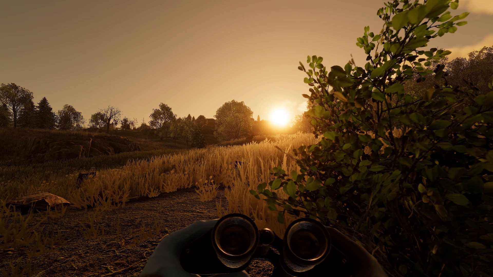 Rust Console Edition X|S - Deluxe — трейлер